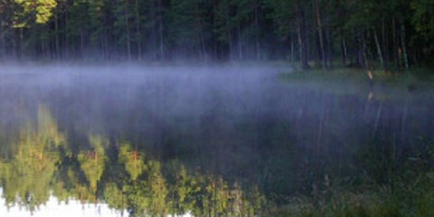 Abborrtjärnen