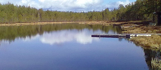 Avlångensjöarna och Tordyveln