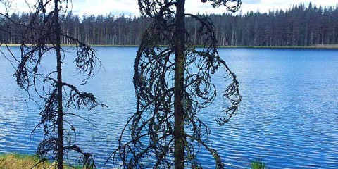 Öketjärnen