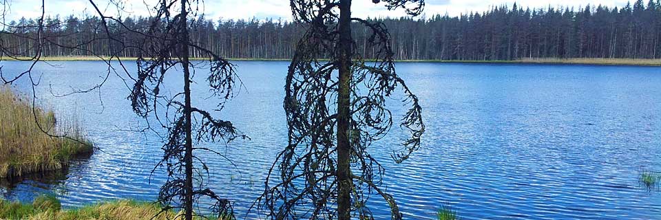 Öketjärnen